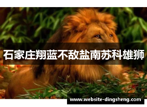 石家庄翔蓝不敌盐南苏科雄狮